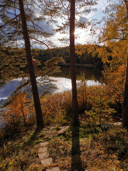 Autumn colours and lake.
